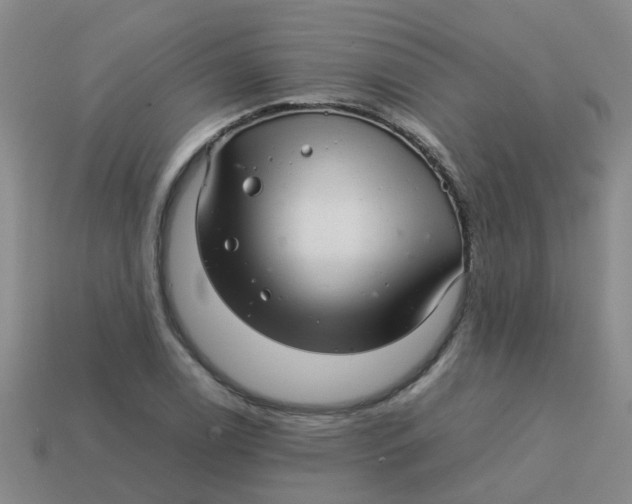 X0000113561122200910161450