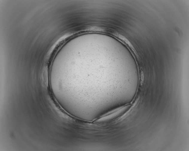 X0000113561123200910161450