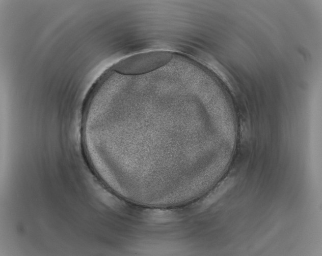 X0000113561124200910161450