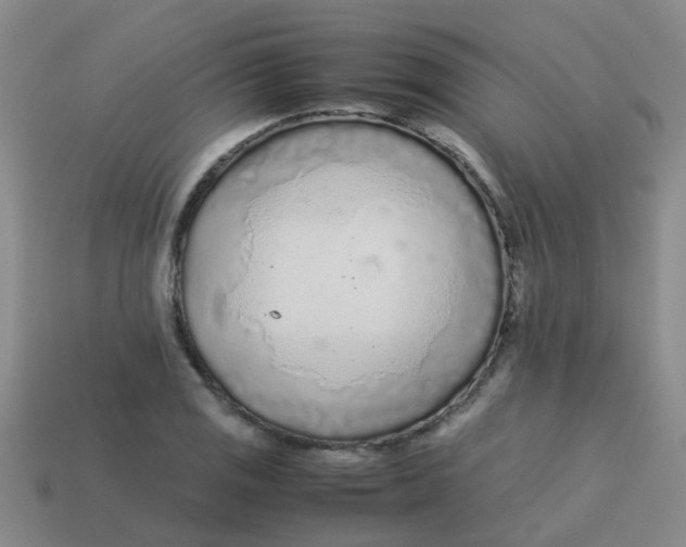 X0000113561125200910161450