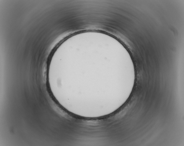 X0000113561126200910161450