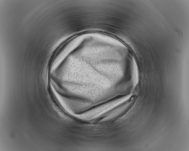 X0000113561127200910161450
