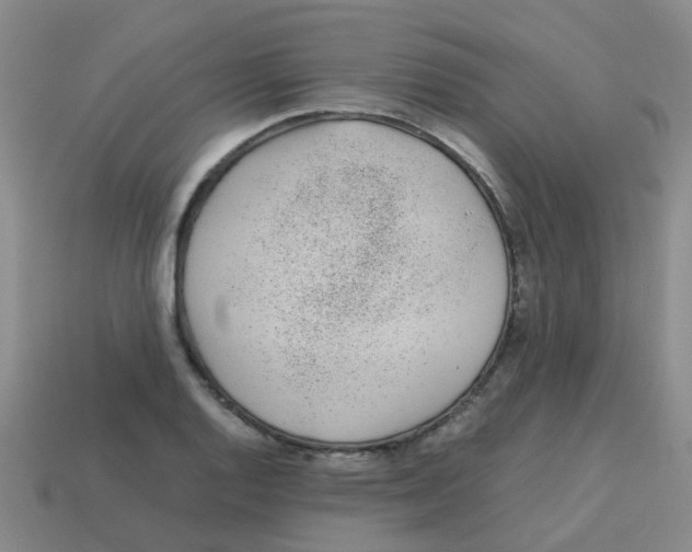 X0000113561128200910161450