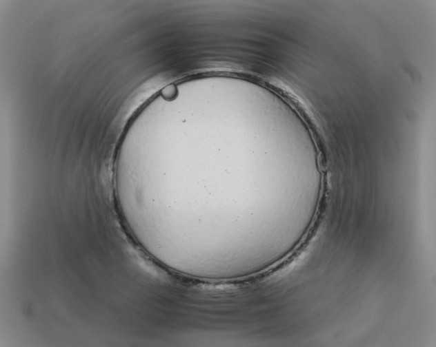 X0000113561129200910161450