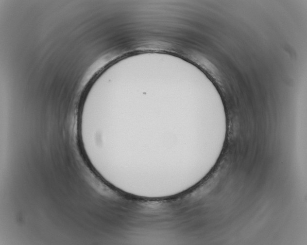 X0000113561130200910161450