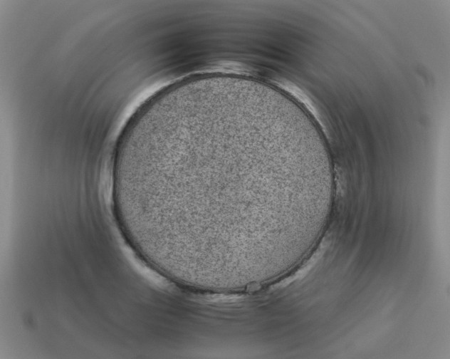 X0000113561131200910161450