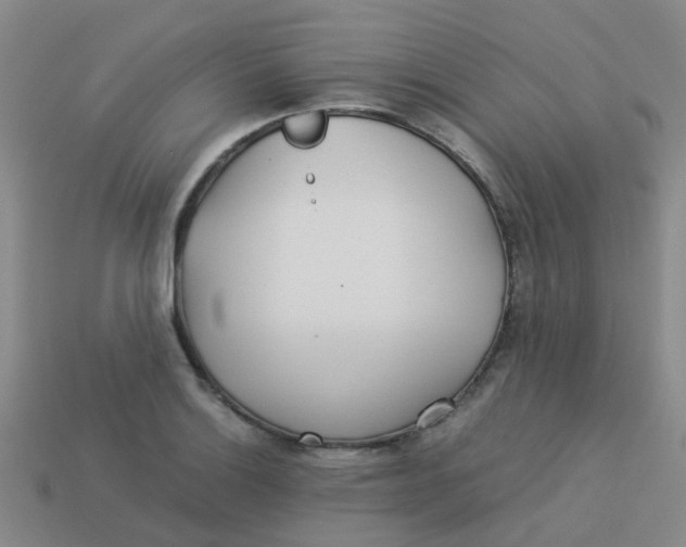 X0000113561132200910161450