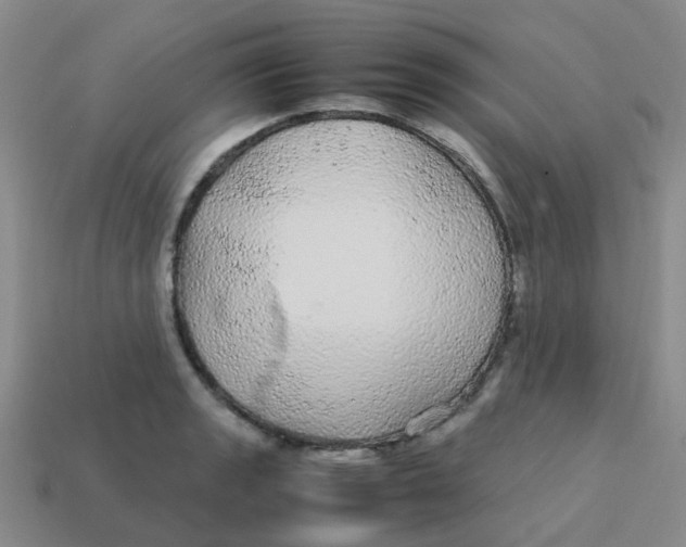X0000113561133200910161450