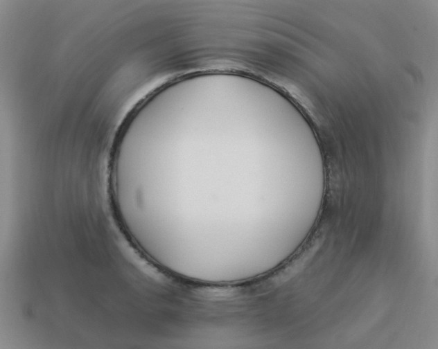 X0000113561134200910161450