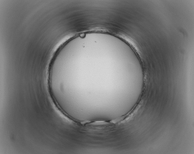 X0000113561135200910161451
