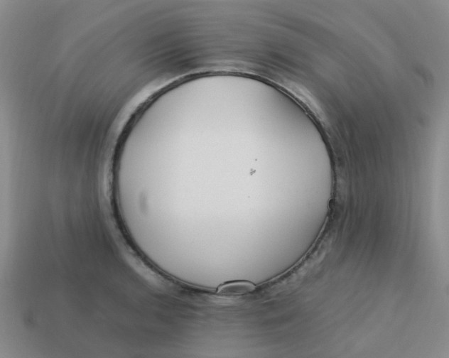 X0000113561136200910161451