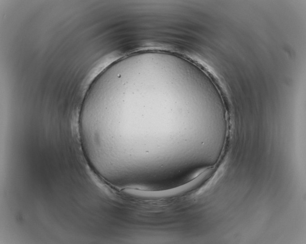 X0000113561137200910161451