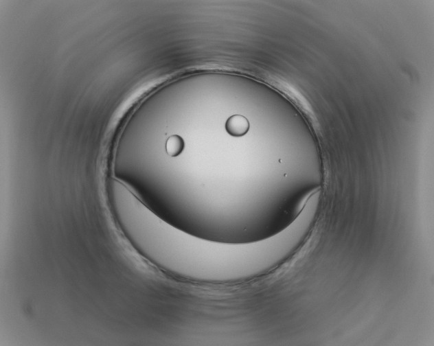 X0000113561138200910161451