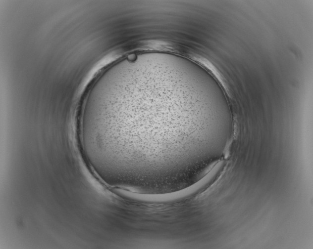 X0000113561139200910161451