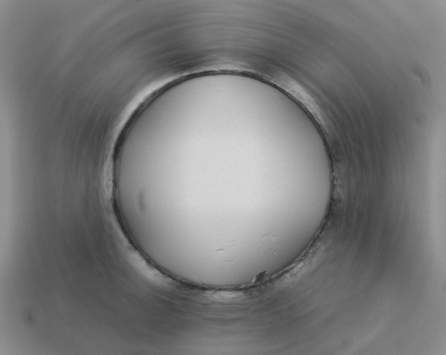 X0000113561140200910161451