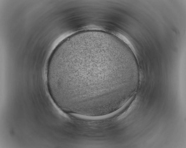 X0000113561141200910161451