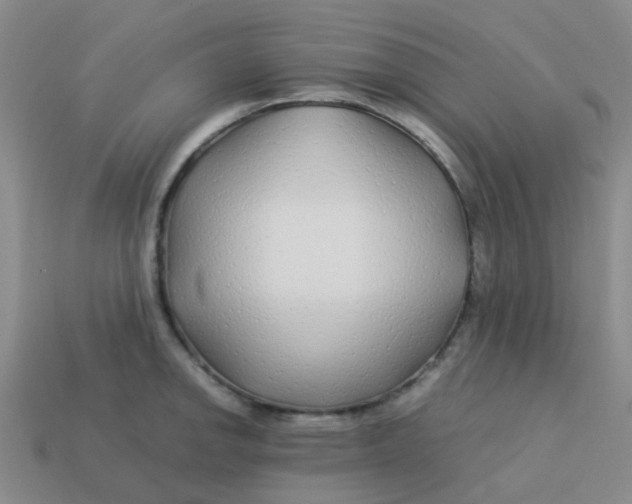 X0000113561142200910161451