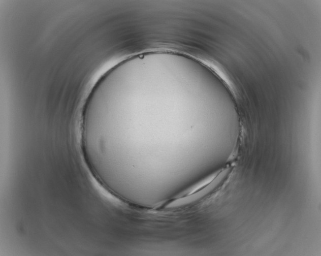 X0000113561143200910161451