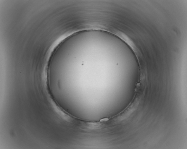 X0000113561144200910161451