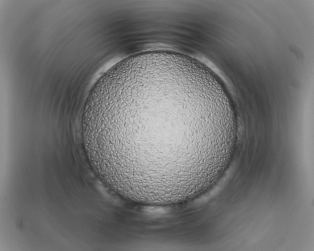 X0000113561145200910161451