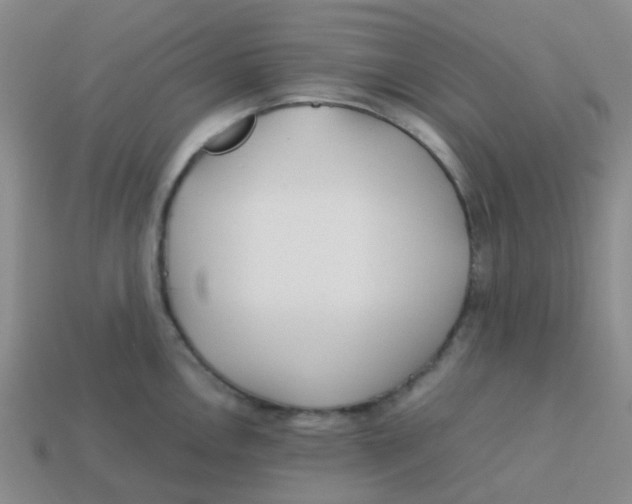 X0000113561146200910161451