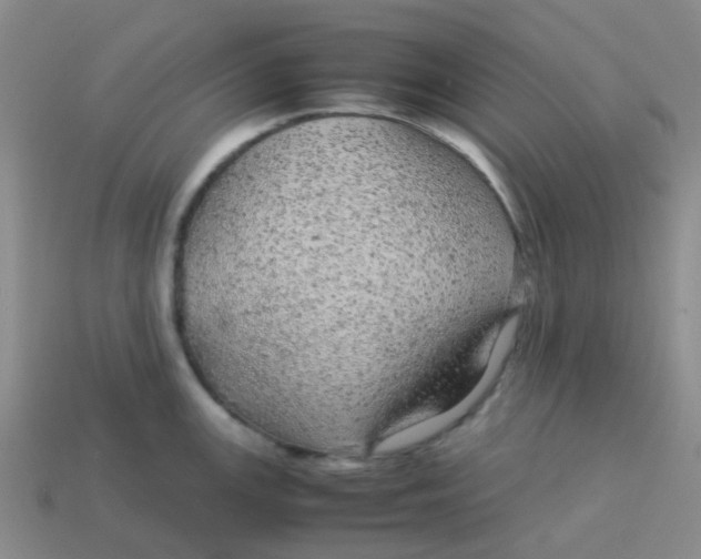 X0000113561147200910161451