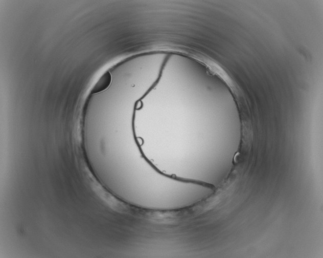 X0000113561148200910161451