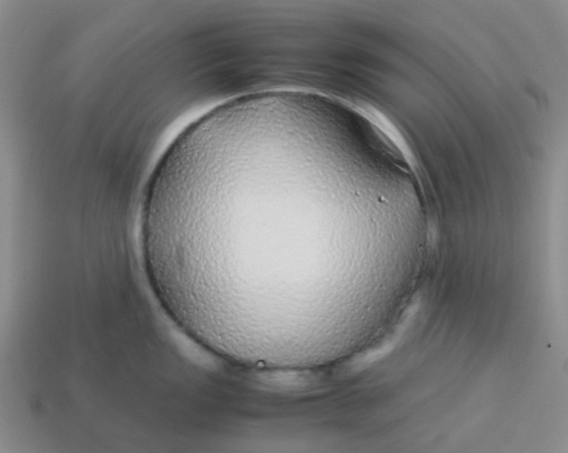 X0000113561149200910161451