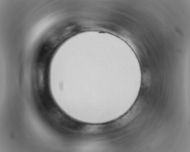 X0000113561150200910161451