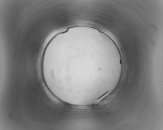 X0000113561152200910161451