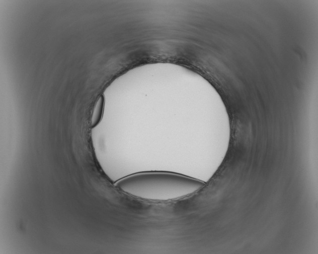 X0000113561153200910161450
