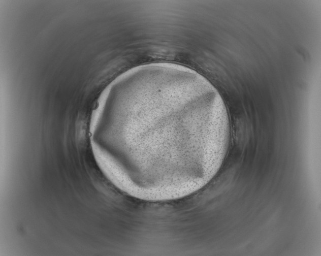 X0000113561154200910161450