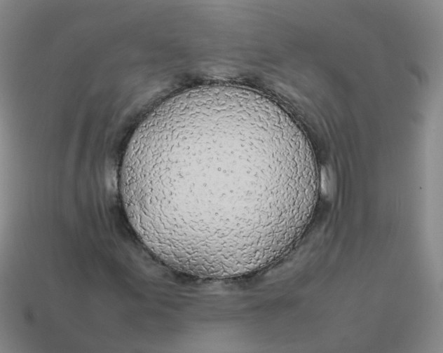 X0000113561155200910161450