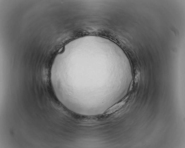X0000113561156200910161450