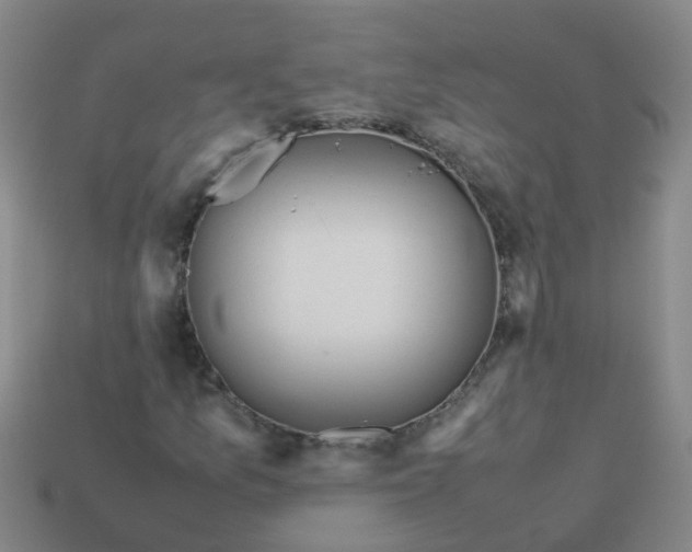 X0000113561157200910161450