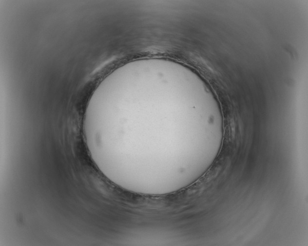 X0000113561158200910161450