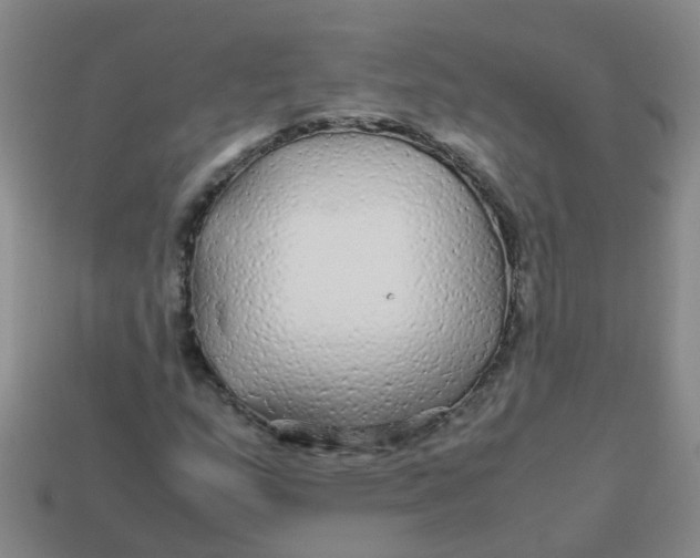 X0000113561159200910161450