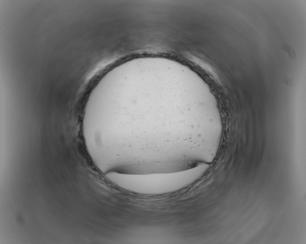 X0000113561160200910161450