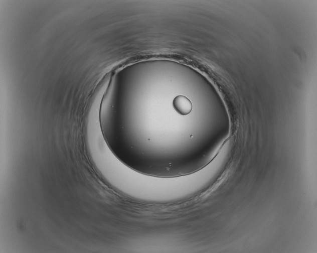 X0000113561161200910161450