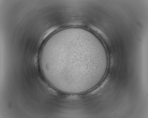 X0000113561162200910161450