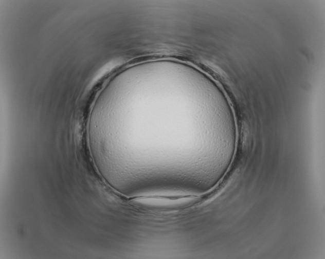 X0000113561163200910161450