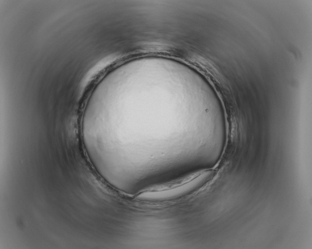 X0000113561164200910161450