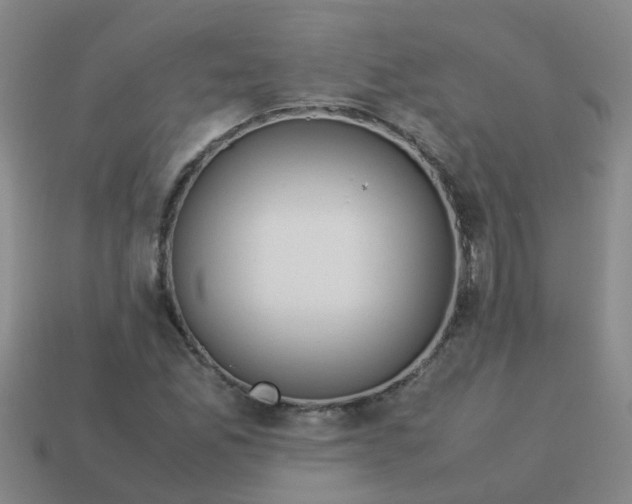 X0000113561165200910161450