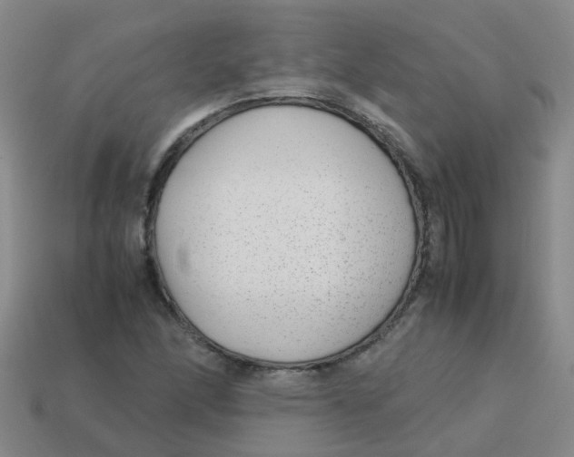 X0000113561166200910161450