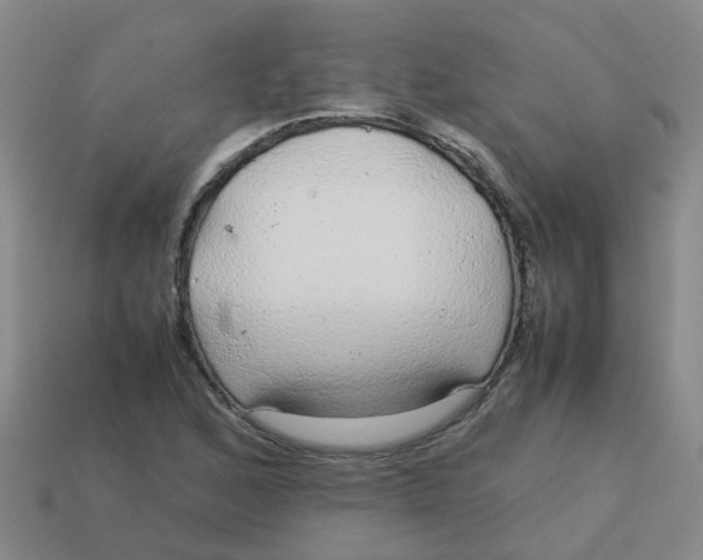 X0000113561168200910161450