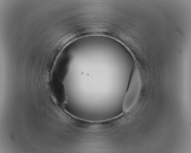 X0000113561169200910161450