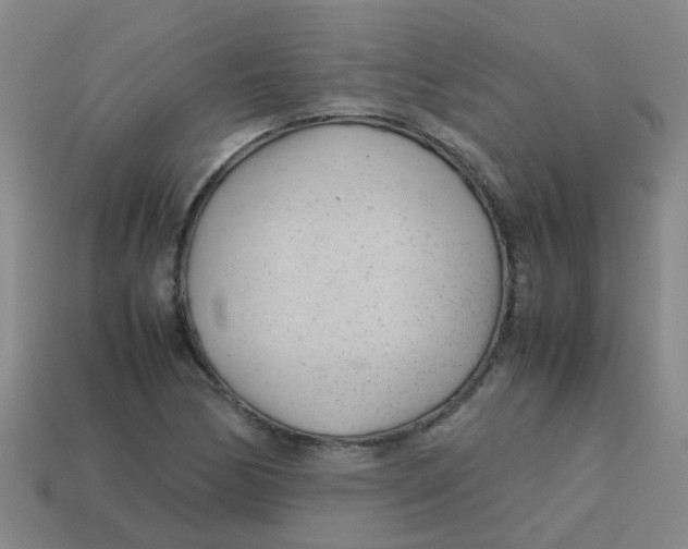 X0000113561170200910161450