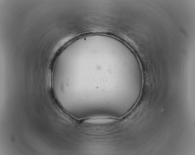 X0000113561171200910161450