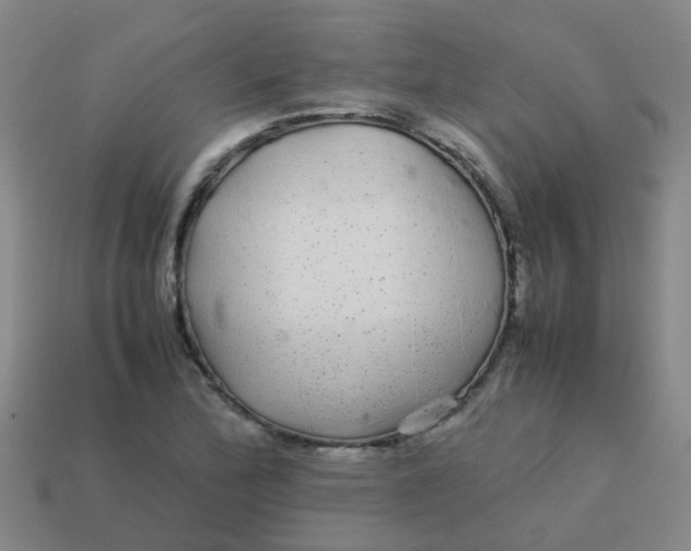 X0000113561172200910161450