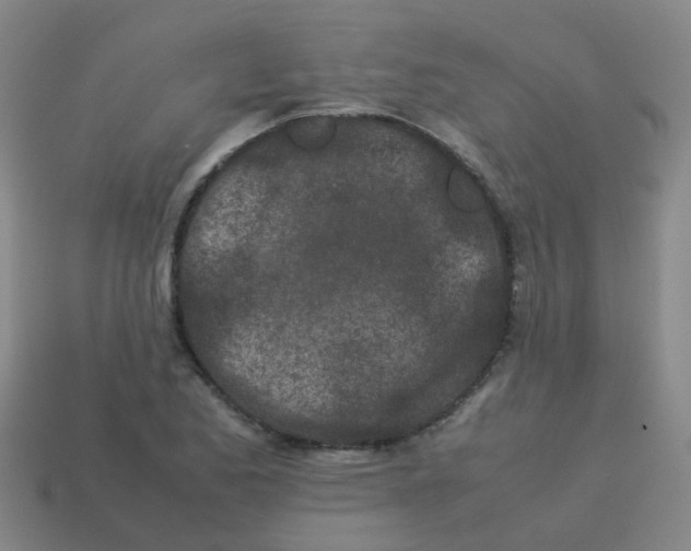 X0000113561173200910161450
